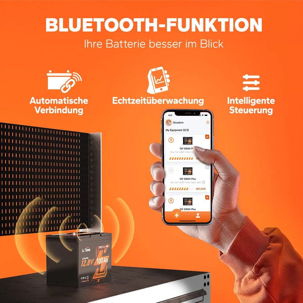 LiTime [Ukraine] Group24 Bluetooth LiFePO4 12v 100ah Batterien aus der Ukraine — фото 2