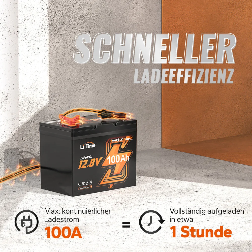 LiTime [Ukraine] Group24 Bluetooth LiFePO4 12v 100ah Batterien aus der Ukraine — фото 3