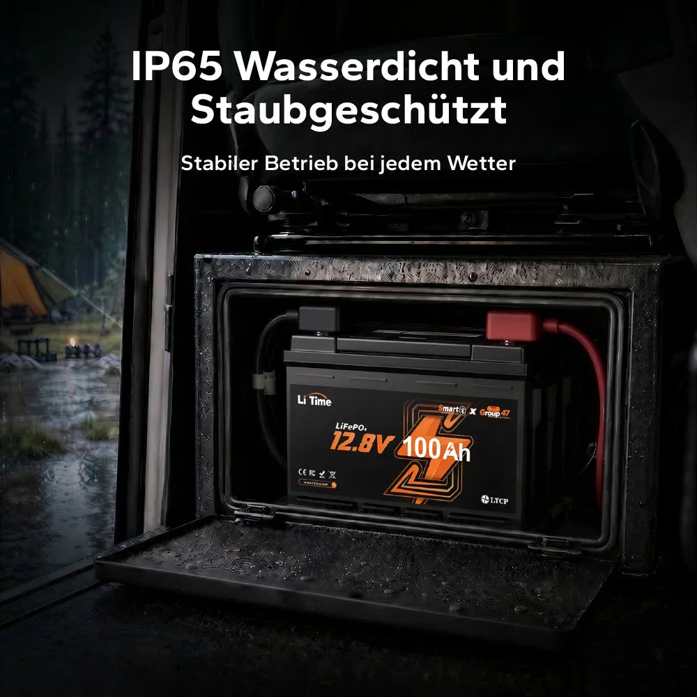 LiTime 12V 100Ah LiFePO4 Akku H168 mit Bluetooth – ultraflach für die Wohnmobilbestuhlung — фото 11