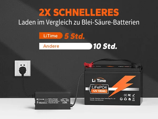 LiTime LiFePO4 12V 100Ah литиевая батарея глубокого разряда — фото 3