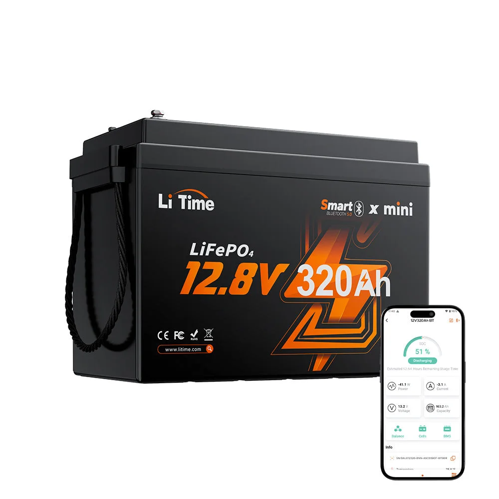 LiTime LiFePO4 12V 320Ah W190 Wohnmobil-Untersitzbatterie mit Bluetooth (0 % MwSt.)