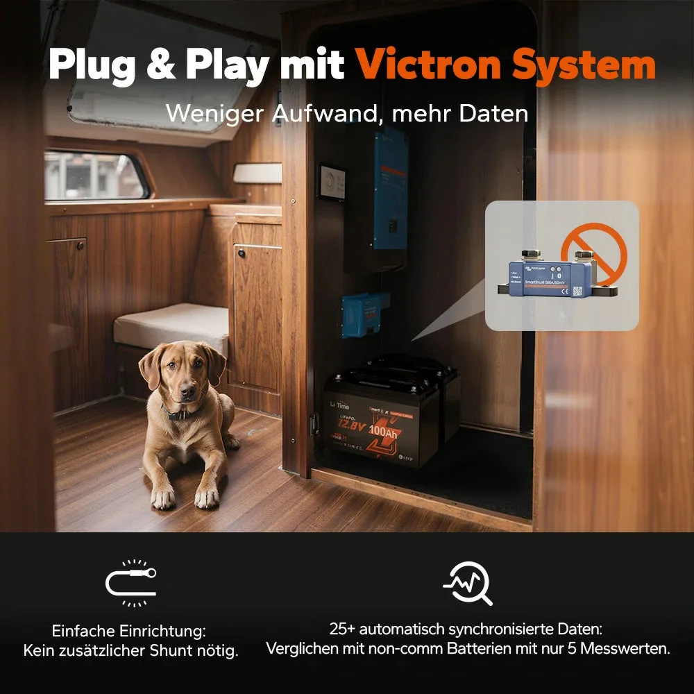 Аккумулятор LiTime 12V 100Ah Smart ComFlex со связью Bluetooth & Victron — фото 5