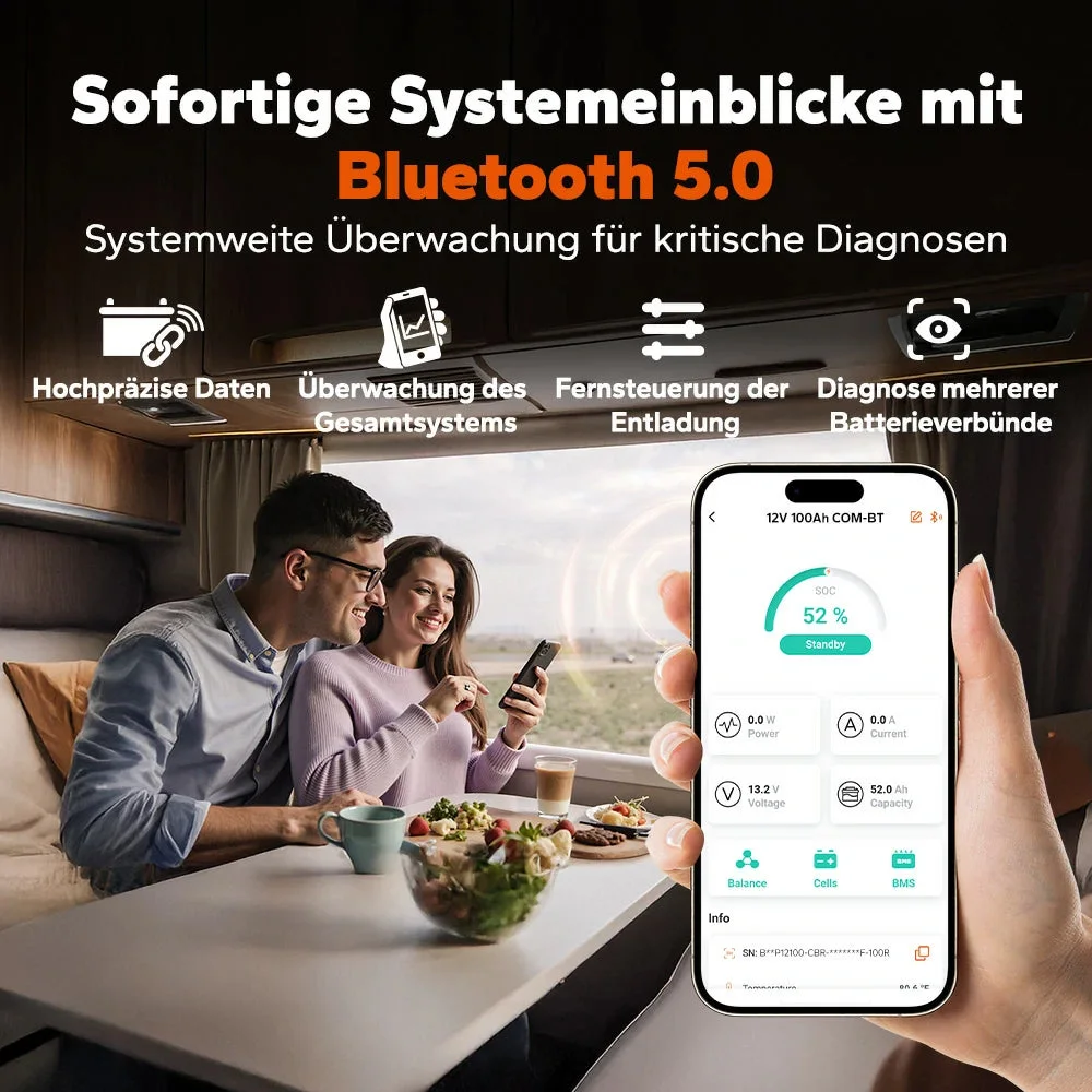 Аккумулятор LiTime 12V 100Ah Smart ComFlex со связью Bluetooth & Victron — фото 8