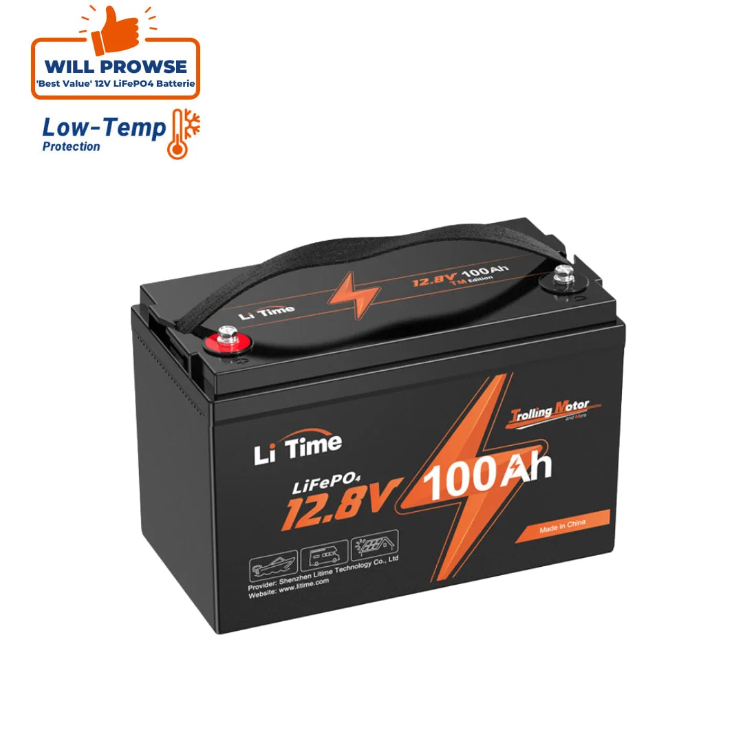 LiTime Аккумулятор 12V 100Ah LiFePO4 для низких температур