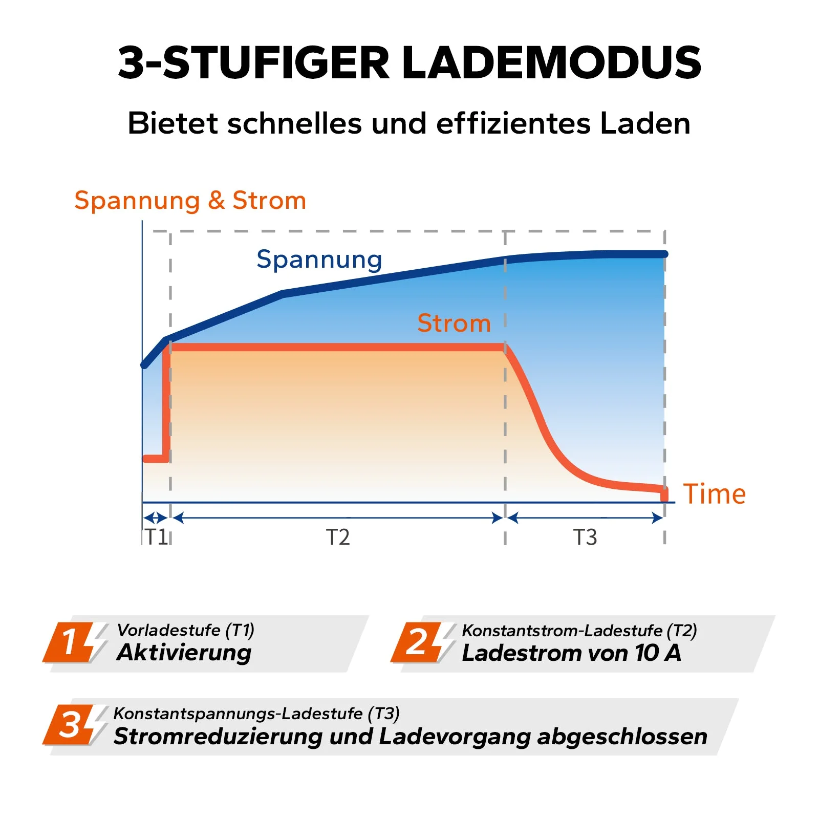 LiTime 14,6V 10A Ladegerät für 12V LiFePO4 Lithiumbatterie — фото 6