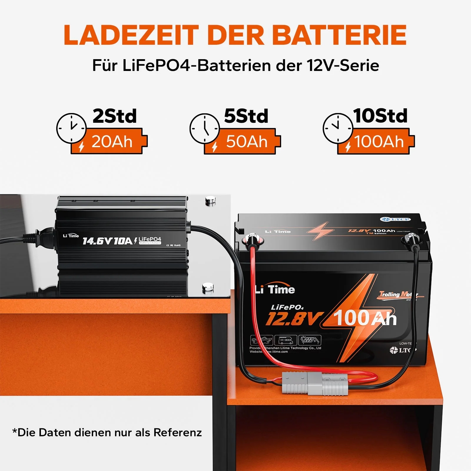 LiTime 14,6V 10A Ladegerät für 12V LiFePO4 Lithiumbatterie — фото 8