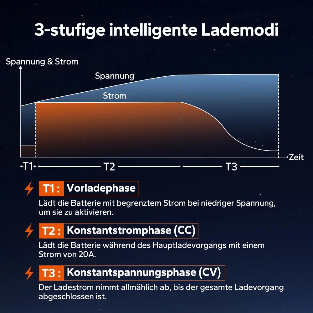 LiTime 14,6V 20A Ladegerät für LiFePO4 12V Lithiumbatterie — фото 2