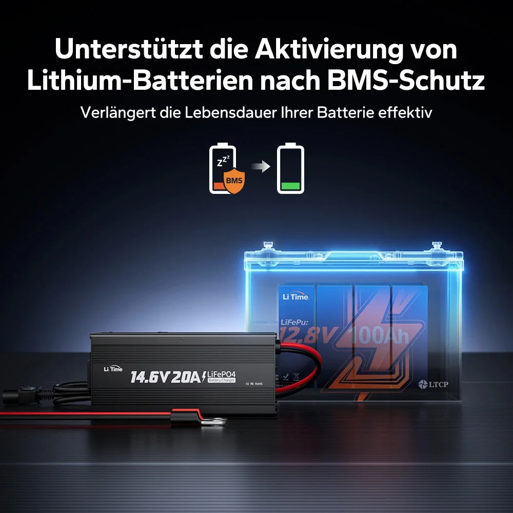 LiTime 14,6V 20A Ladegerät für LiFePO4 12V Lithiumbatterie — фото 3