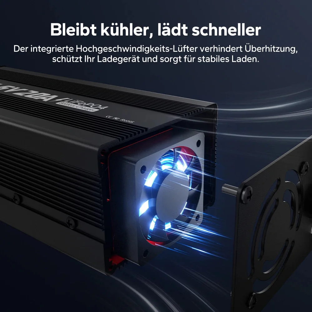LiTime 14,6V 20A Ladegerät für LiFePO4 12V Lithiumbatterie — фото 4