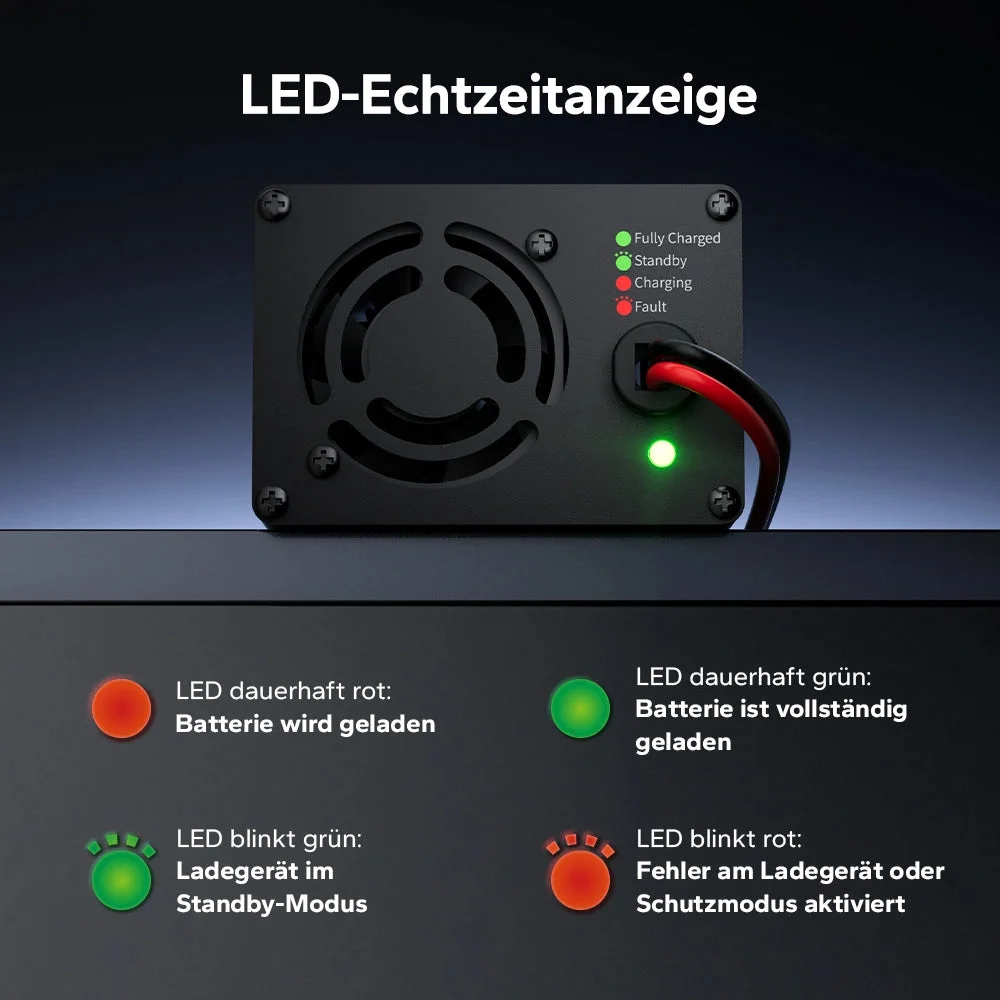 LiTime 14,6V 20A Ladegerät für LiFePO4 12V Lithiumbatterie — фото 5
