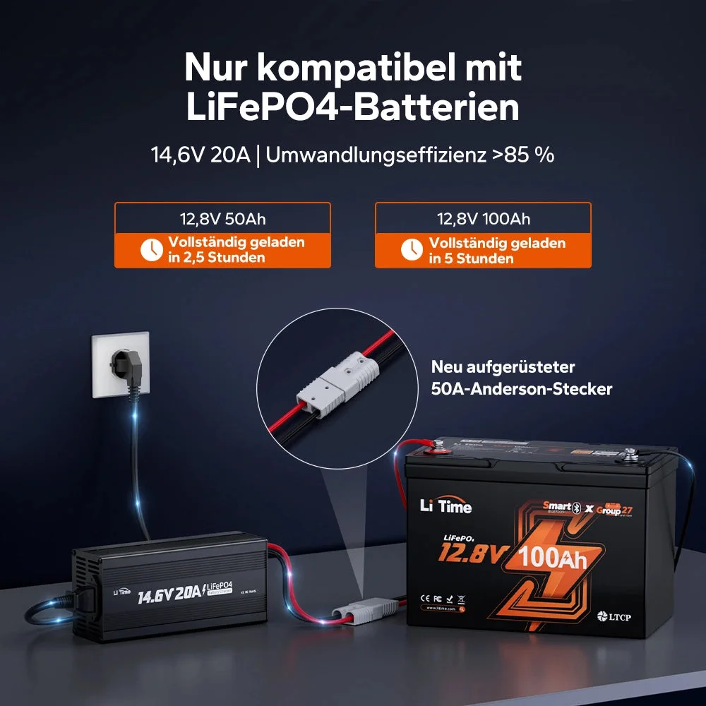 LiTime 14,6V 20A Ladegerät für LiFePO4 12V Lithiumbatterie — фото 10