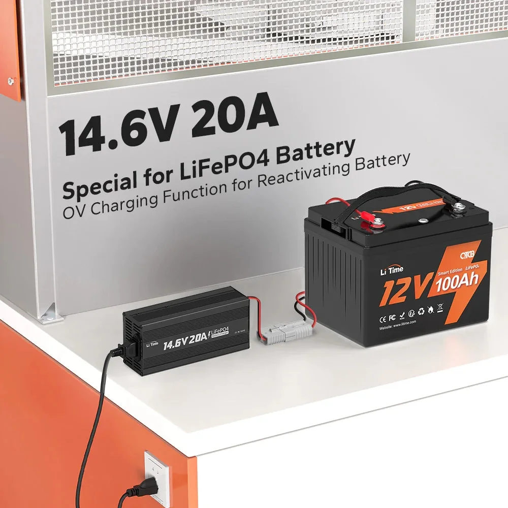 Ladegerät LiTime 14,6V 20A für Lithiumbatterien — фото 3