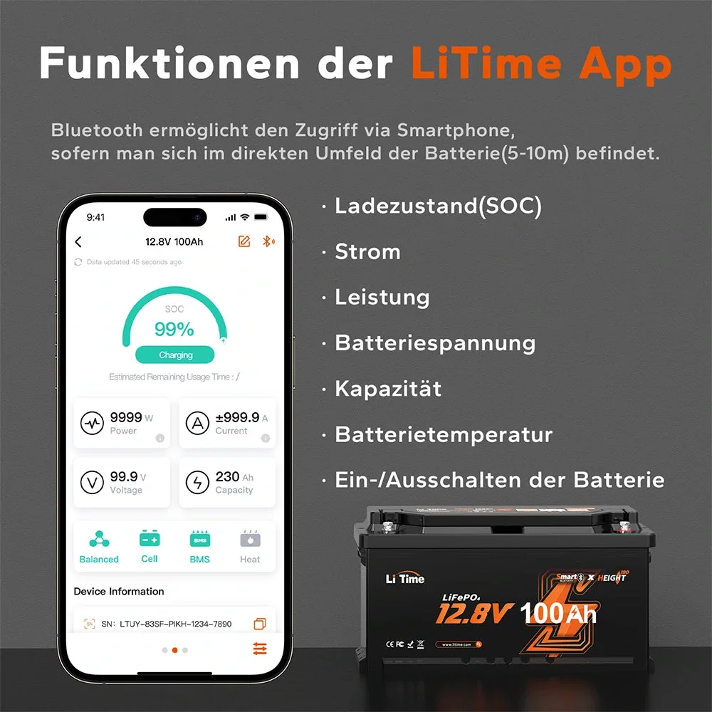 LiTime [Ukraine] LiFePO4 12V 100Ah Akku mit Bluetooth-Monitor – 100A BMS — фото 2