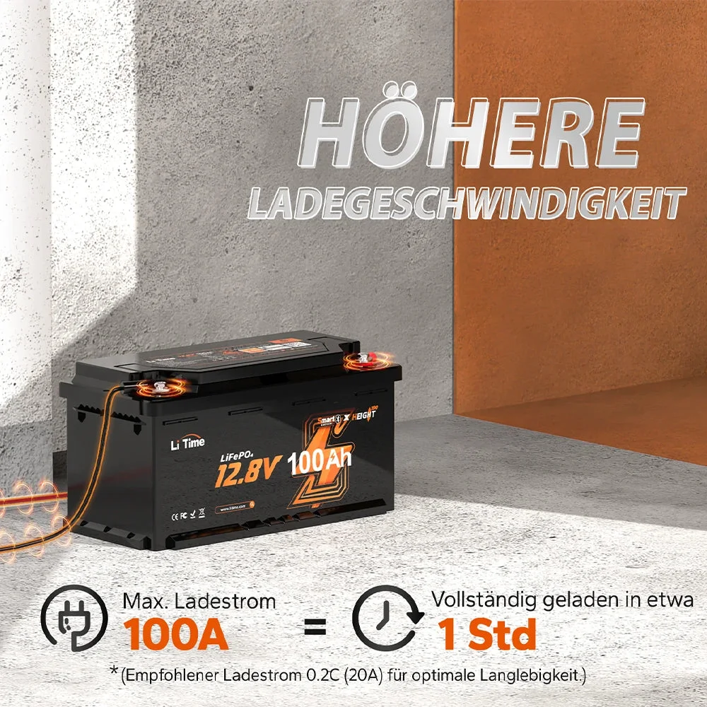 LiTime [Ukraine] LiFePO4 12V 100Ah Akku mit Bluetooth-Monitor – 100A BMS — фото 6