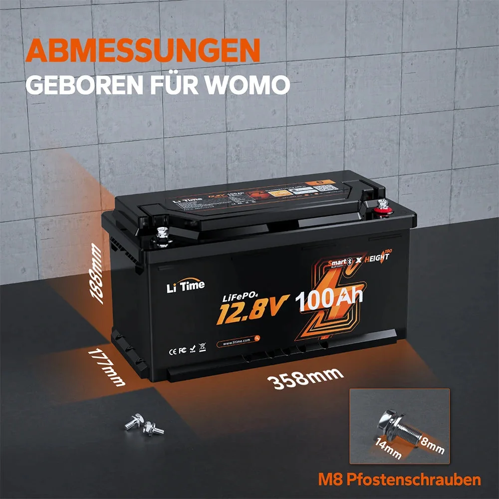 LiTime [Ukraine] LiFePO4 12V 100Ah Akku mit Bluetooth-Monitor – 100A BMS — фото 10