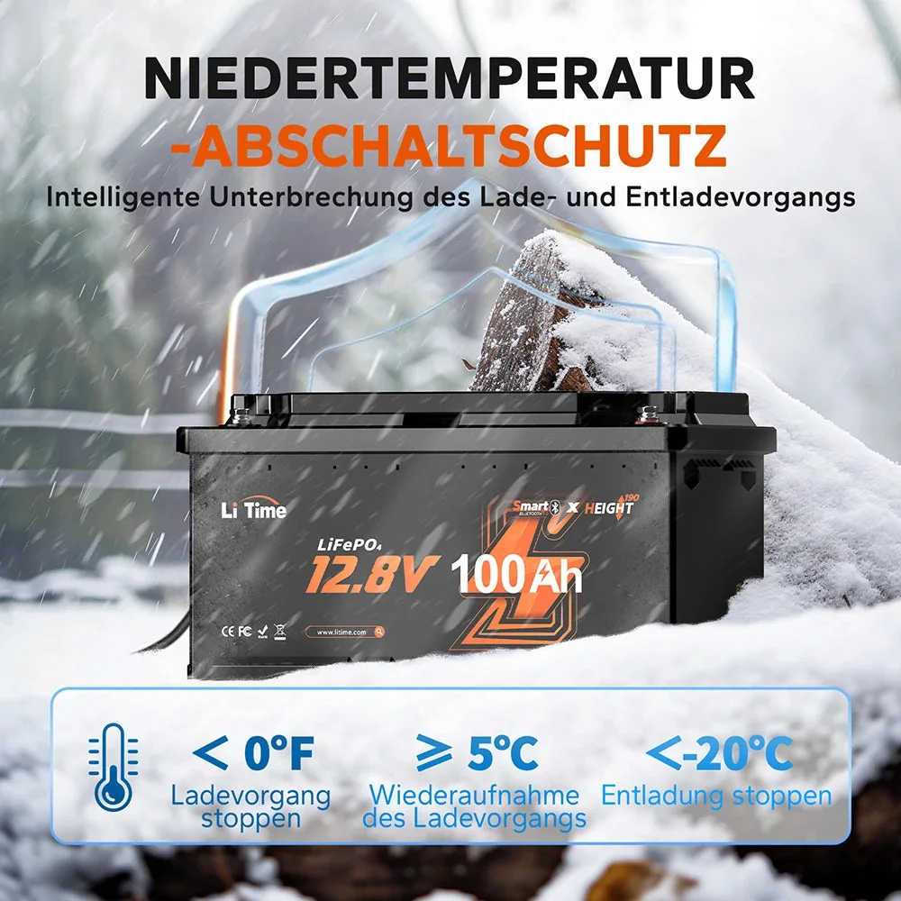 LiTime 12V 100Ah H190 глибокого циклу LiFePO4 батарея з Bluetooth - підсидіння будинку на колесах DIN H8 L5 група 49, сертифіковано ECE R10! — фото 3
